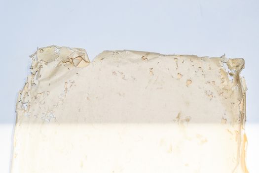 Paper swallowed with silverfish. Traces of wrecking silverfish on vinyl envelopes. lepisma