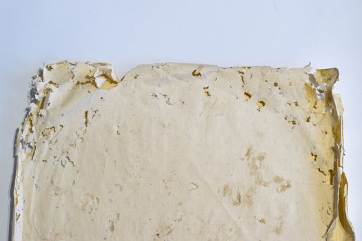 Paper swallowed with silverfish. Traces of wrecking silverfish on vinyl envelopes. lepisma