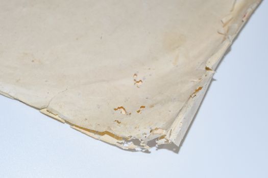Paper swallowed with silverfish. Traces of wrecking silverfish on vinyl envelopes. lepisma