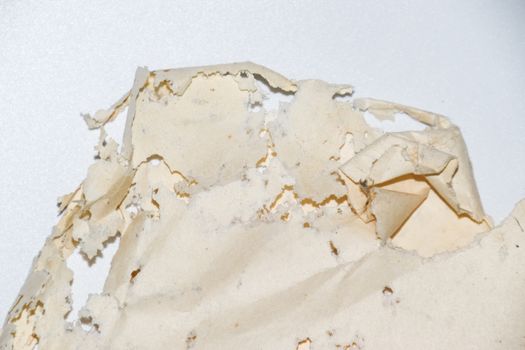 Paper swallowed with silverfish. Traces of wrecking silverfish on vinyl envelopes. lepisma