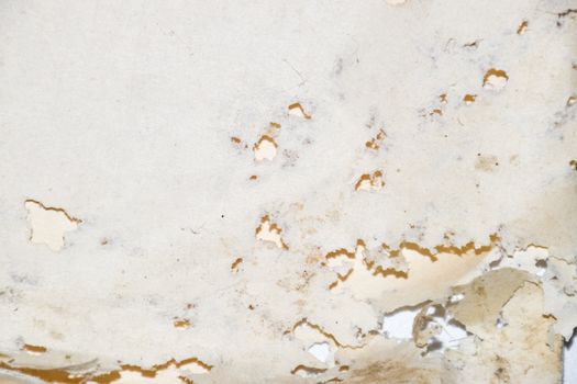 Paper swallowed with silverfish. Traces of wrecking silverfish on vinyl envelopes. lepisma