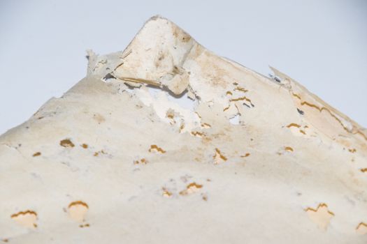Paper swallowed with silverfish. Traces of wrecking silverfish on vinyl envelopes. lepisma
