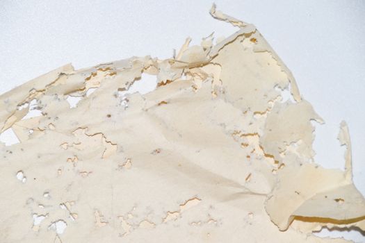 Paper swallowed with silverfish. Traces of wrecking silverfish on vinyl envelopes. lepisma
