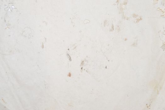 Paper swallowed with silverfish. Traces of wrecking silverfish on vinyl envelopes. lepisma