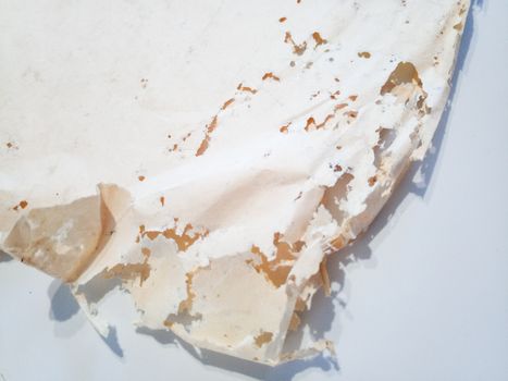 Paper swallowed with silverfish. Traces of wrecking silverfish on vinyl envelopes. lepisma
