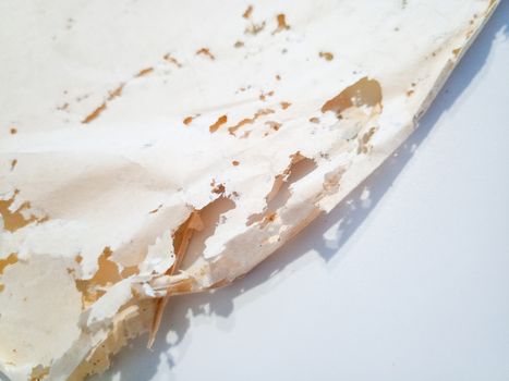 Paper swallowed with silverfish. Traces of wrecking silverfish on vinyl envelopes. lepisma