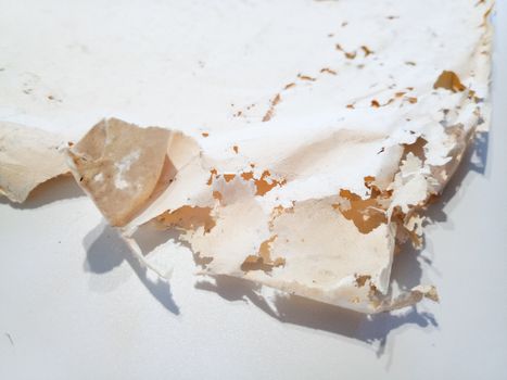 Paper swallowed with silverfish. Traces of wrecking silverfish on vinyl envelopes. lepisma
