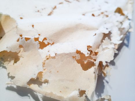 Paper swallowed with silverfish. Traces of wrecking silverfish on vinyl envelopes. lepisma
