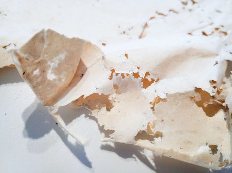 Paper swallowed with silverfish. Traces of wrecking silverfish on vinyl envelopes. lepisma