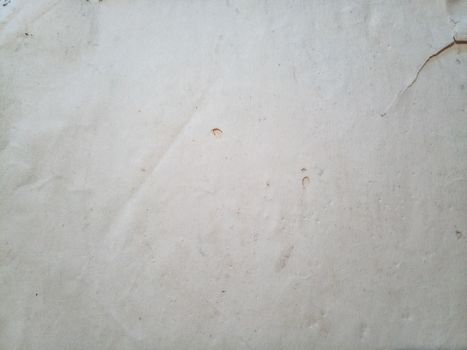Paper swallowed with silverfish. Traces of wrecking silverfish on vinyl envelopes. lepisma
