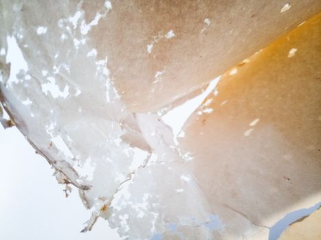 Paper swallowed with silverfish. Traces of wrecking silverfish on vinyl envelopes. lepisma