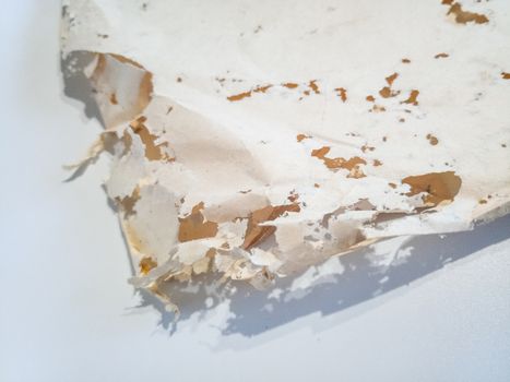Paper swallowed with silverfish. Traces of wrecking silverfish on vinyl envelopes. lepisma