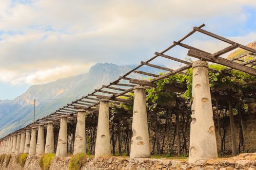 pylons, stone and lime columns and chestnut poles support the pergola of rows of grapes