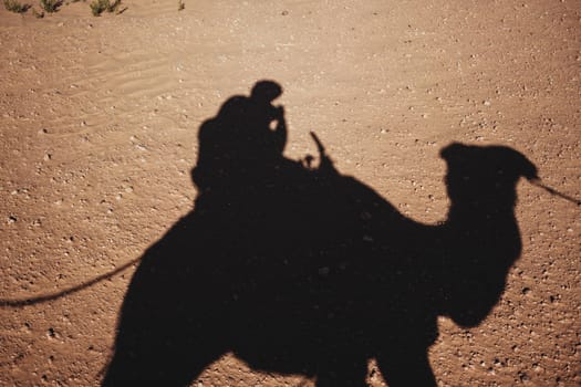 Shadow of a traveler riding a camel