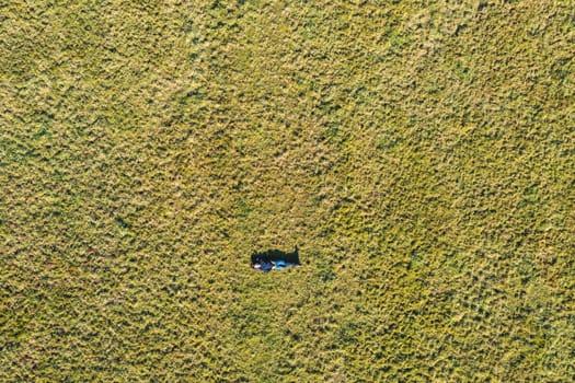 aerial portrait in a grassland default