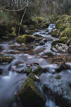 Long exposure take of a river with rocks and grass in a forest