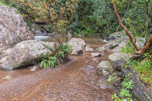 The Gudu River pools in the Gudu forest after heavy rain. The hiking trail is flooded