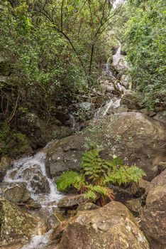 Cascades at Tiger Falls on the slope of Dooley Hills