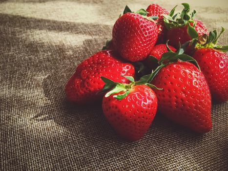 Organic strawberries on rustic linen background, fruit farming and agriculture