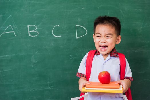 Back to School. Happy Asian funny cute little child boy from kindergarten in student uniform with school bag holding red apple on books smile on green school blackboard, First time to school education