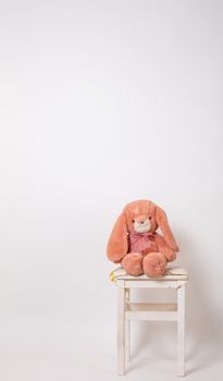Pink rabbit plush doll sitting on a stool on white background. Easter Bunny. Easter Hare