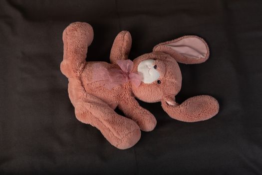 pink little rabbit toys on black background