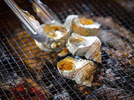 Turban Shell grilling on a Hot Chacoal Stove. Fresh Seafood Course in Ama Divers’ Hut, Japanese Seafood BBQ.