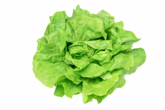 Top view of a fresh and ideal green lettuce with water drops on a white background (high details).