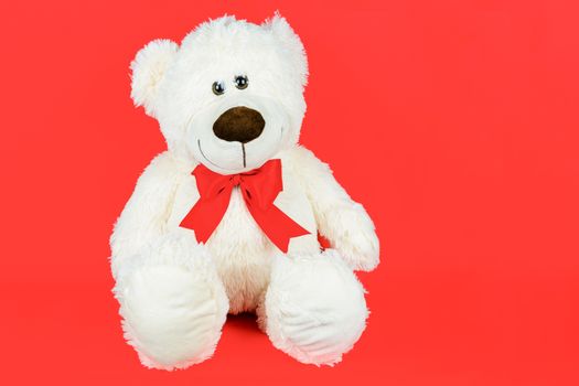 Greetings card concept - white teddy bear with a bow isolated on a red background (copy space)