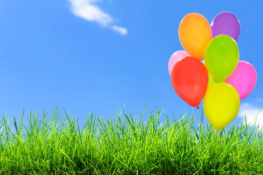 Outdoor party decoration concept - mix of colorful balloons on a green grass field and blue sky background with copy space (mixed).