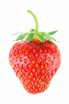 Ripe whole strawberry isolated on a white background in close-up