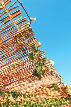 Wooden roof on the beach, nature and design