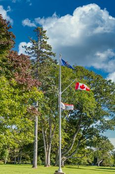 Flags in Canada against green trees