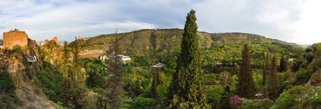 Tbilisi Botanical Garden, panorama view on forest from Narikala fortress. Georgia country.