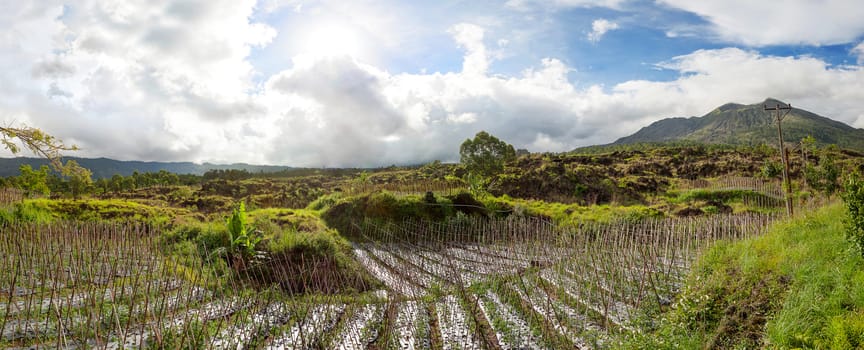 Large panorama view on agricultural fields near Batur volcano, Kintamani. Winter rainy and cloudy season. Bali, Indonesia.