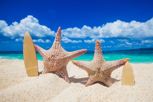 Two starfish surfers on sand of tropical beach at Philippines