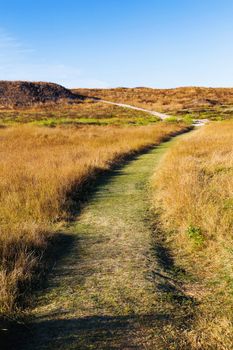 Countryside natural background. Rural path winds along the field. Cloudscape in sunny day. Crimea, Russia.