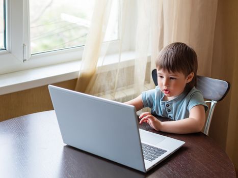 Curious toddler boy explores the laptop and presses buttons on computer keyboard. Online education for babies.