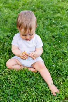 Little baby sitting on grass. Kid is staring on fallen leaf. Outdoor activity for kid. Natural background with child on summer lawn with fresh grass.