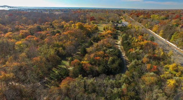 Aerial View of Autumn Trees and Foliage on Long Island as Seen by a Drone on a Sunny Day