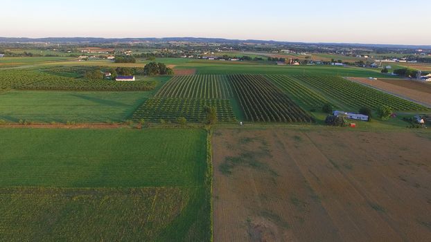 Aerial View of Amish Farm Countryside in Autumn from a Drone