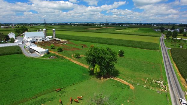 Aerial View of Amish Farm Countryside in Autumn from a Drone