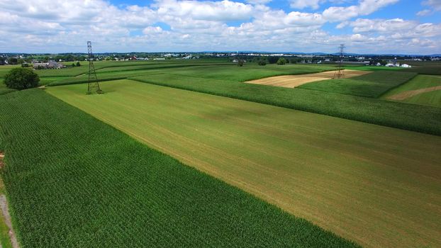 Aerial View of Amish Farm Countryside in Autumn from a Drone