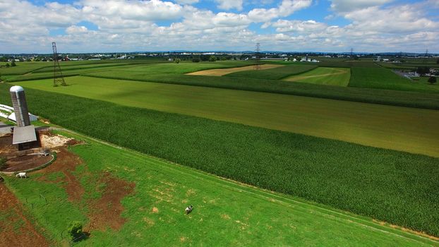 Aerial View of Amish Farm Countryside in Autumn from a Drone