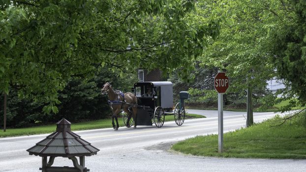 Gordonville, Pennsylvania, July 2019 - Amish Horse and Buggy Traveling on a Residential Road on a Summer Day