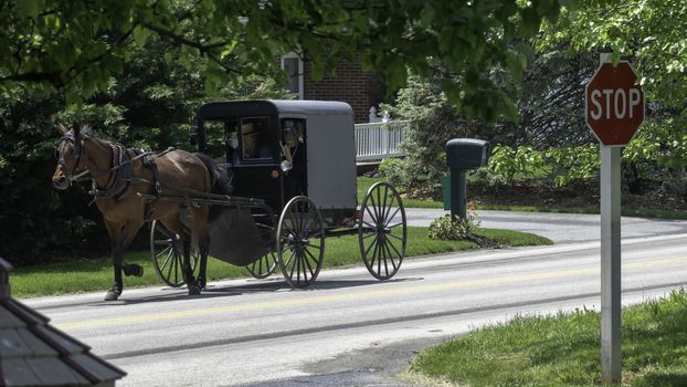 Gordonville, Pennsylvania, July 2019 - Amish Horse and Buggy Traveling on a Residential Road on a Summer Day