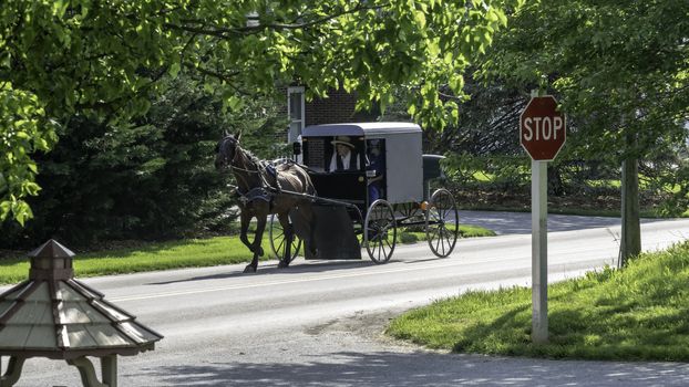 Gordonville, Pennsylvania, July 2019 - Amish Horse and Buggy Traveling on a Residential Road on a Summer Day