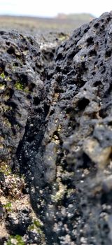 Macro shot of volcanic black rock and green algae on the hyeopjae beach in jeju island, south korea