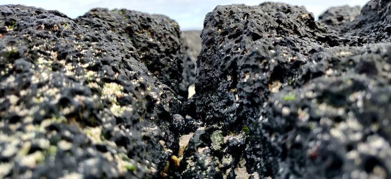 Macro shot of volcanic black rock looking like mountain on the hyeopjae beach while in vacation in jeju island, south korea