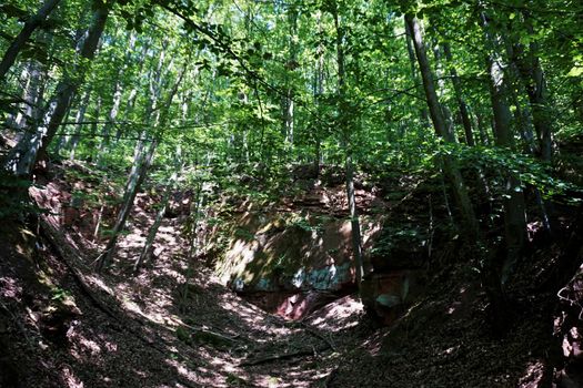 Beautiful scenery in the Palatinate Forest with typical red sandstone rock